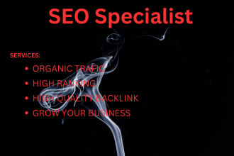 be your SEO specialist, wordpress, shopify, woocomerce