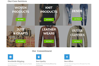 do professional business websites at the cheapest price