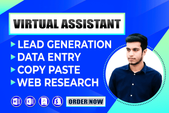 be personal virtual assistant for data entry, product listing, copy paste