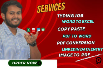 excel data entry, copy paste, typing assignments, scraping