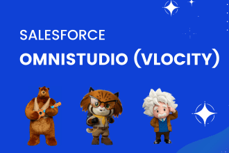 be your salesforce omni studio developer and consultant