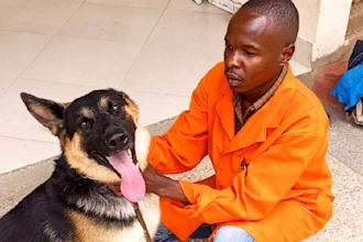 offer veterinary medicine and animal health education technical assistance