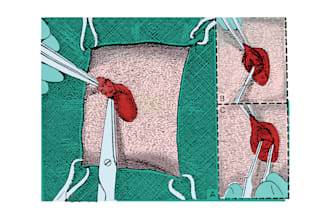 draw veterinary medicine illustrations