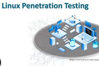 perform penetration testing with report of web application