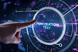 perform penetration testing with report of web application