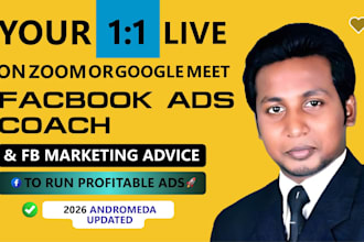 teach you facebook and instagram ads as coach, consultant to optimize meta ads