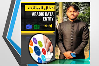 do professional  arabic data entry