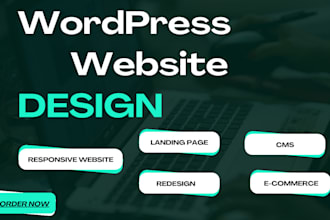 build premium wordpress website