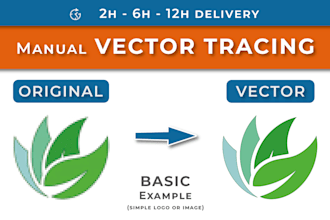 execute vector tracing for your logo or image