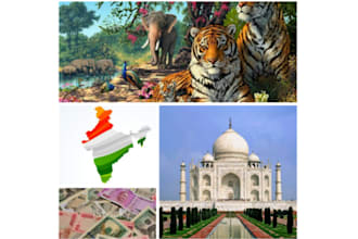 purchase and buy products from india and ship them to you