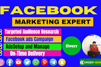 do facebook advertising, marketing and promotion, fb ads campaign