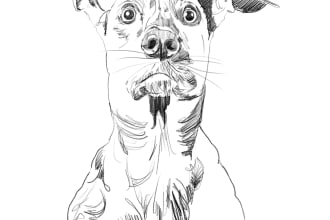 drawn amazing pencil sketch of your lovely pet