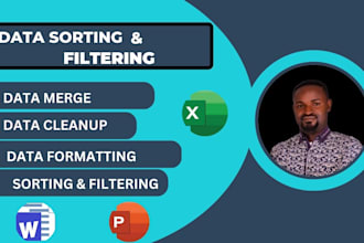 professionally do data sorting, filtering, data entry, data mining