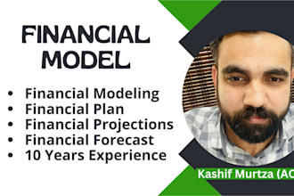develop a financial model or do financial modeling