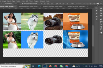 photo background remove,change,transparent,erase,white, precise image cutouts