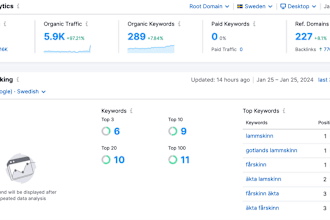 do complete SEO optimization for shopify