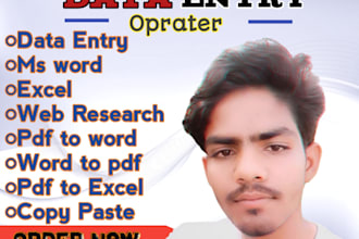 data entry, copy paste, word to pdf, excel to pdf,
