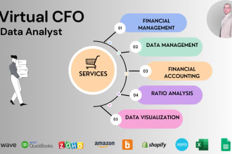 be your data analyst, a financial manager and an accountant