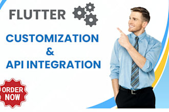 flutter customization and API integration