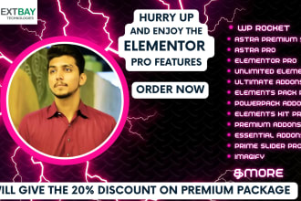set up wp rocket, elementor pro, and astra pro agency