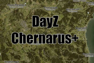 build your dayz PC server