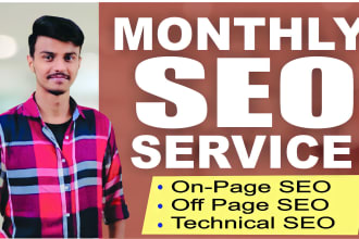 premium monthly SEO service with high quality follow backlinks