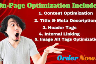 complete on page SEO, technical error fixes for wordpress website with yoast