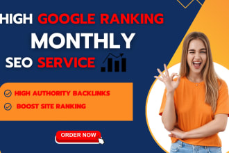 do monthly off page SEO with high quality manual linkbuilding