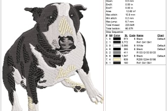 do all kind of embroidery work into emb,dst,pes etc