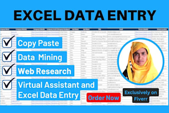 do excel data entry, copy past, finding email and virtual assistant