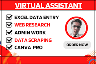 perform excel data entry and VA tasks