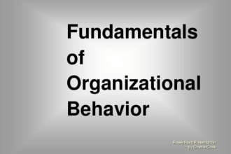assist with  organizational behavior and consumer behavior projects