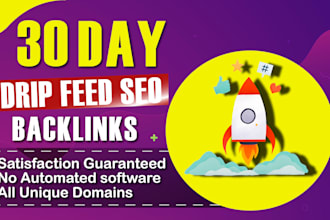 provide high quality drip feed backlinks for effective link building