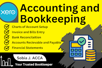be your uk accountant for bank reconciliation and bookkeeping in xero