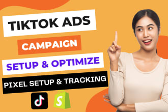 create tik tok ads manager, run tik tok ads, tik tok promotion