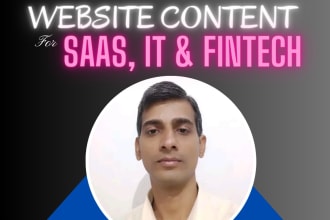 write content, copy for saas, IT, fintech website