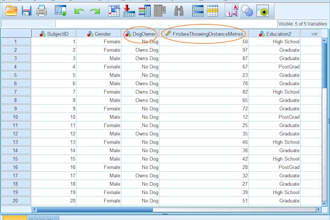 do quantitative data analysis using spss and smartpls