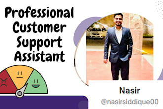 provide customer service as a virtual assistant for your ecommerce store