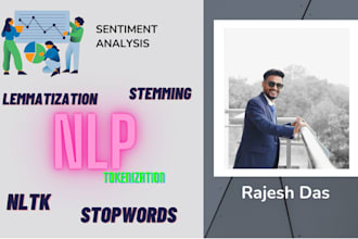 provide natural language processing nlp solutions