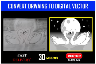 turn your hand drawing to vector, drawing to digital art, digitize drawing