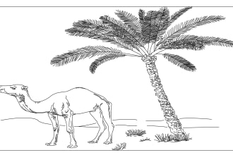 illustrate black and white line art and coloring book pages