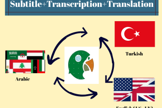 translate and subtitle turkish english arabic