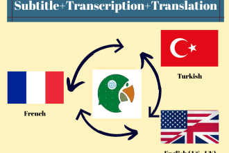 translate and subtitle turkish english french