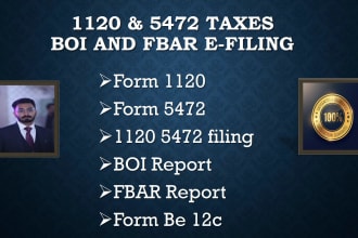 prepare USA tax return form 1120 , 5472 , boi fbar and be 12c