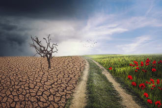 do urgent ,expert climate change and global warming content