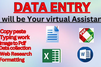 be virtual assistant for data entry,copy paste, image to PDF