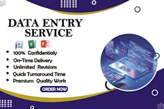 serve as your virtual assistant for web research and data entry