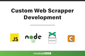 develop a custom web scrapper