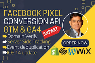 setup facebook pixel conversion API server side tracking with GTM, ios 14 update