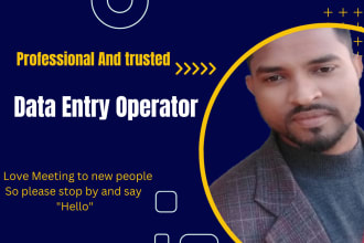 do data entry and copy paste job